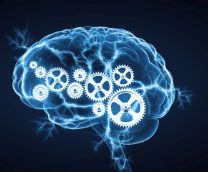 ������ ����� 