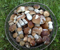 ������� � ������ �� ���� ������������� ���. 2025�.