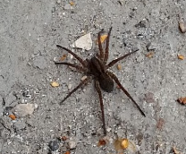 � ����� � ��������