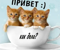 Звёздные сказочки