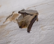 �������������