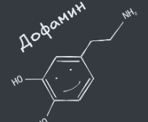   --