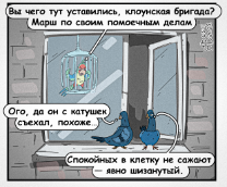 �������� �������.